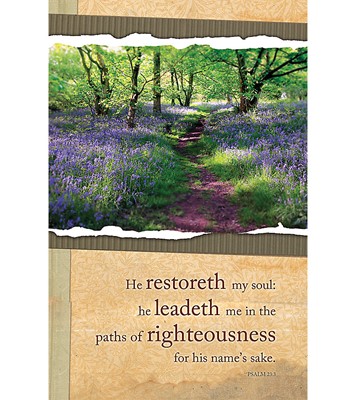 Paths Of Righteousness Bulletin (Pack of 100) (Bulletin)