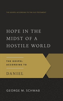 Hope in the Midst of a Hostile World (Paperback)
