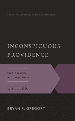 Inconspicuous Providence (Paperback)