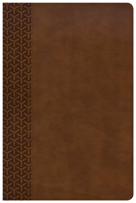 CSB Everyday Study Bible, British Tan LeatherTouch (Imitation Leather)