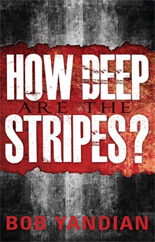 How Deep Are The Stripes? (Paperback)