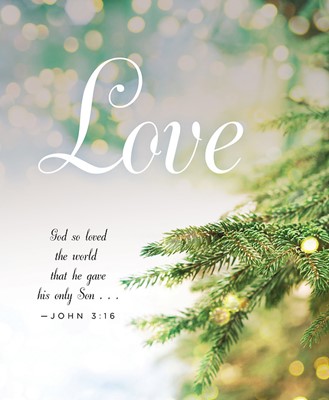 Love Hymn Advent Bulletin, Large (Pkg of 50) (Bulletin)