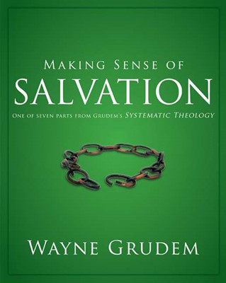Making Sense of Salvation (Paperback)