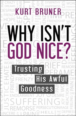 Why Isn't God Nice? (Paperback)