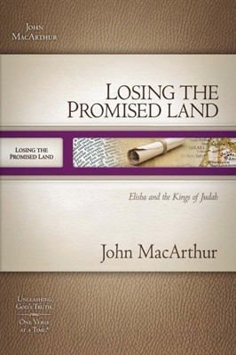 Losing the Promised Land (Paperback)