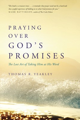 Praying Over God's Promises (Paperback)