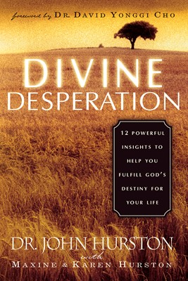 Divine Desperation (Paperback)