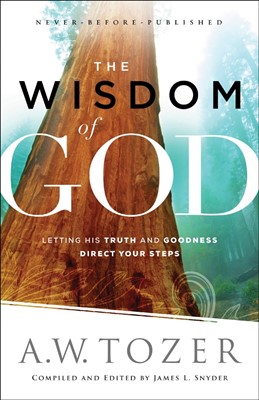 The Wisdom of God (Paperback)