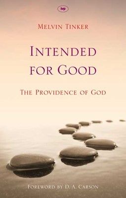 Intended For Good (Paperback)