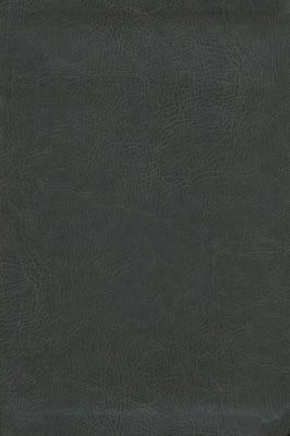 The ESV New Inductive Study Bible (Leather Binding)