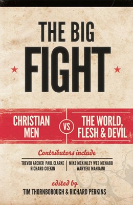 The Big Fight (Paperback)