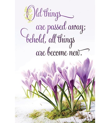 All Things Become New Bulletin (Pack of 100) (Bulletin)