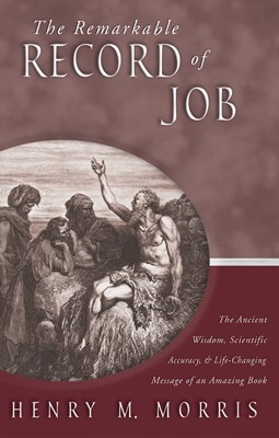 The Remarkable Record Of Job (Paperback)