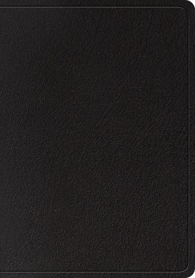 ESV Large Print Wide Margin Bible (Black) (Leather Binding)