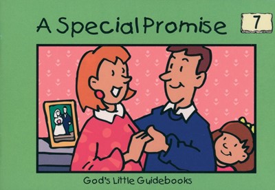 Special Promise, A (Paperback)