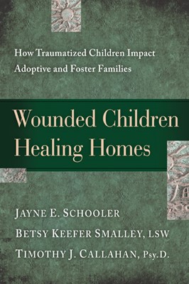 Wounded Children, Healing Homes (Paperback)