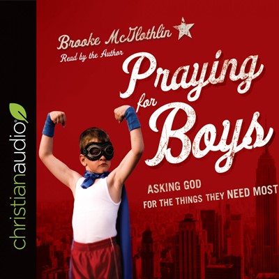 Praying For Boys Audio Book (CD-Audio)