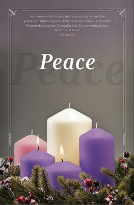 Advent Peace Bulletin (Pack of 100) (Bulletin)