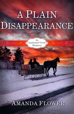 A Plain Disappearance (Paperback)