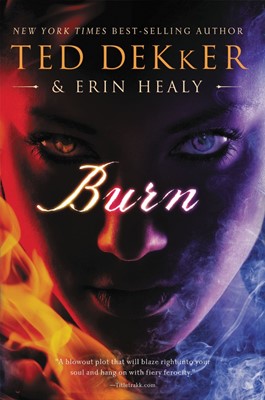 Burn (Paperback)
