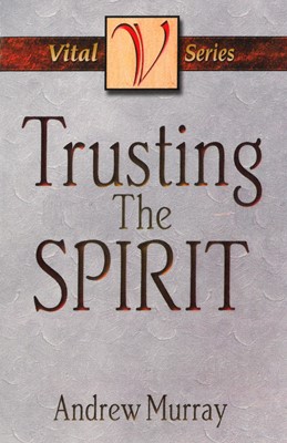 Trusting The Spirit (Paperback)