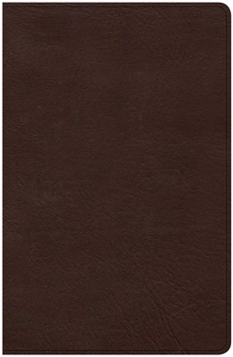 CSB Ultrathin Bible, Brown LeatherTouch (Imitation Leather)