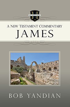 James: A New Testament Commentary (Paperback)