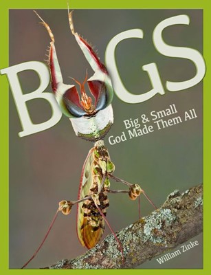 Bugs Big & Small (Hard Cover)