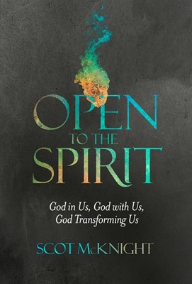 Open to the Spirit (Paperback)