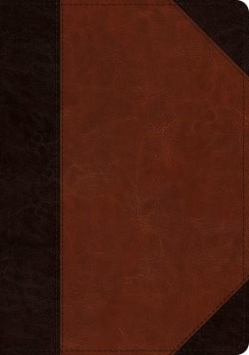 ESV Large Print Wide Margin Bible TruTone, Brown/Cordovan (Imitation Leather)