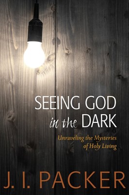 Seeing God In The Dark (Paperback)