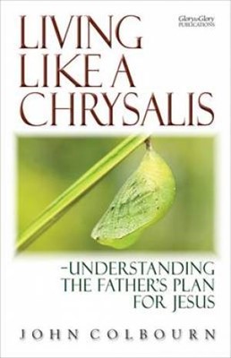 Living Like a Chrysalis (Paperback)