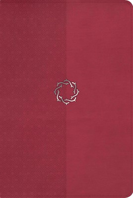 NKJV Essential Teen Study Bible, Rose Leathertouch (Imitation Leather)