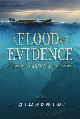 Flood Of Evidence,A (Paperback)