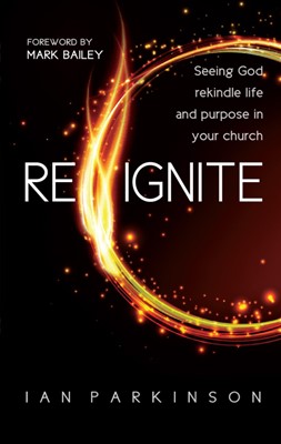 Reignite (Paperback)