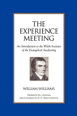 The Experience Meeting (Paperback)
