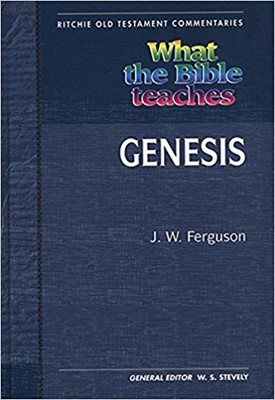 WTBT Vol 1 OT Genesis (Paperback)