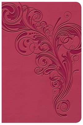 KJV Large Print Compact Reference Bible, Pink LeatherTouch (Imitation Leather)