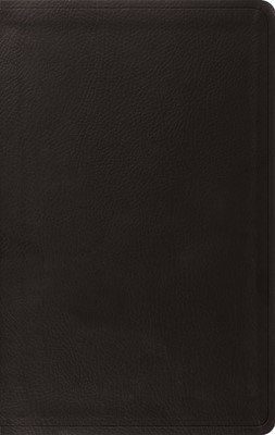 ESV Value Thinline Bible, Trutone, Black (Imitation Leather)