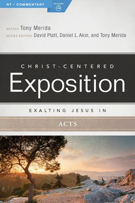 Exalting Jesus In Acts (Paperback)