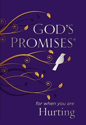God's Promises For When You Are Hurting (Paperback)