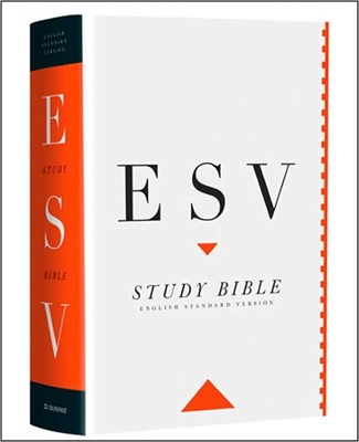ESV Anglicised Study Bible Personal Size HB (Hard Cover)