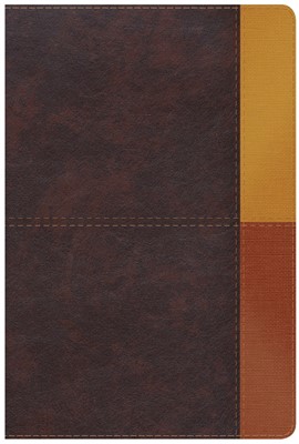 NIV Rainbow Study Bible Cocoa/Terra Cotta/Ochre (Imitation Leather)