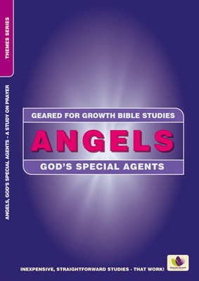 Geared for Growth: Angels (Paperback)