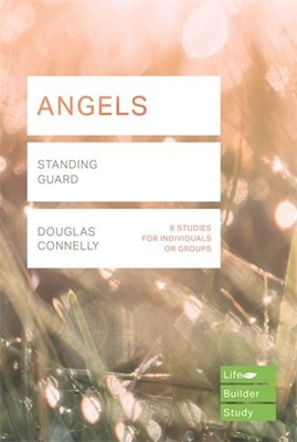 Lifebuilder: Angels (Paperback)
