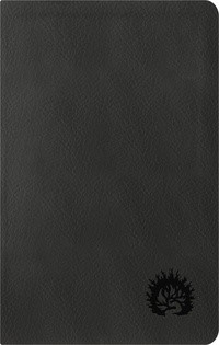 ESV Reformation Study Bible, Condensed Edition, Charcoal (Imitation Leather)