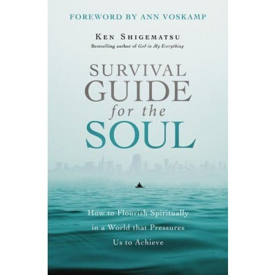 Survival Guide For The Soul (Paperback)