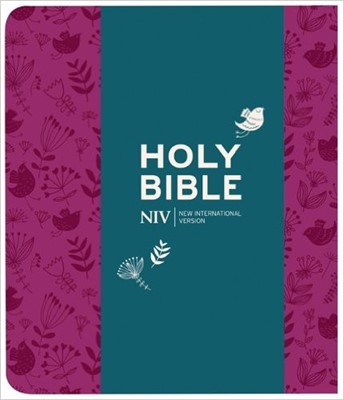 NIV Journalling Soft-Tone Bible With Clasp (Flexiback)