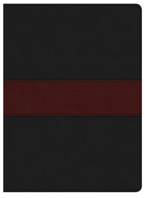 KJV Apologetics Study Bible, Black/Red Leathertouch (Imitation Leather)