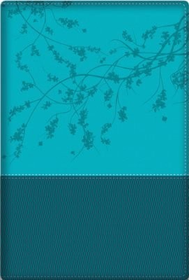 Woman After God's Own Heart Bible, Teal (Imitation Leather)
